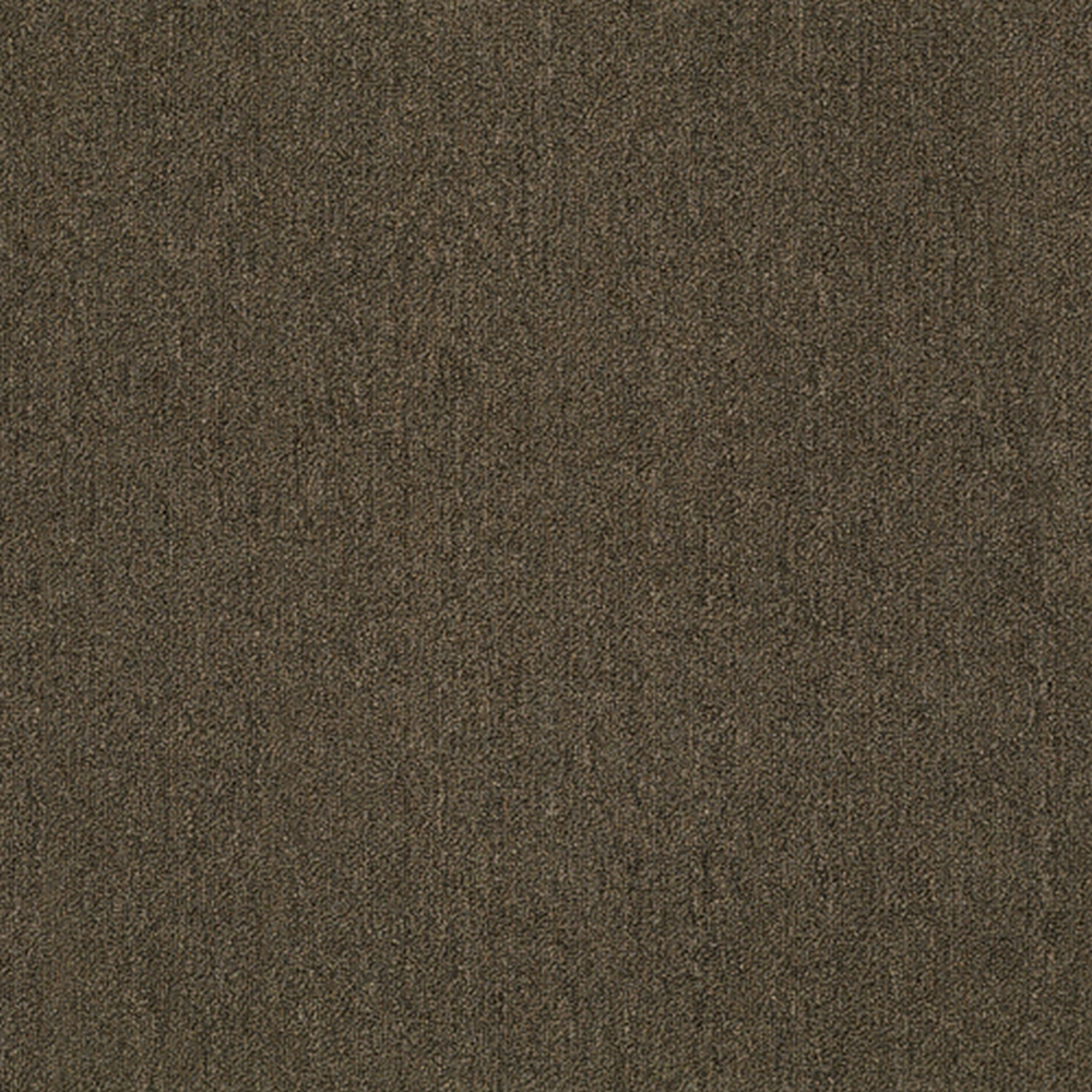 Windows II 12 Ft. Solution Dyed Olefin 26 Oz. Commercial Carpet - Truffle